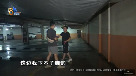 蔚来班车盈利模式开启，每人收费12元，股价跌至年度新低警示